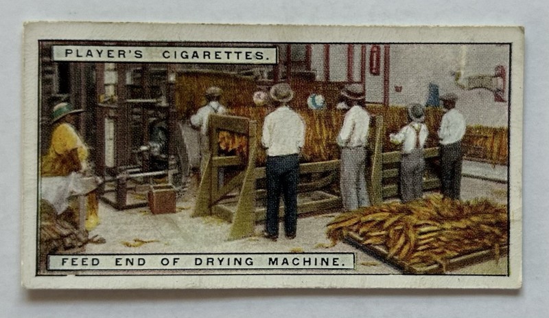 Player’s Tobacco Card Feed End Drying Machine Factory Process #20 CC5